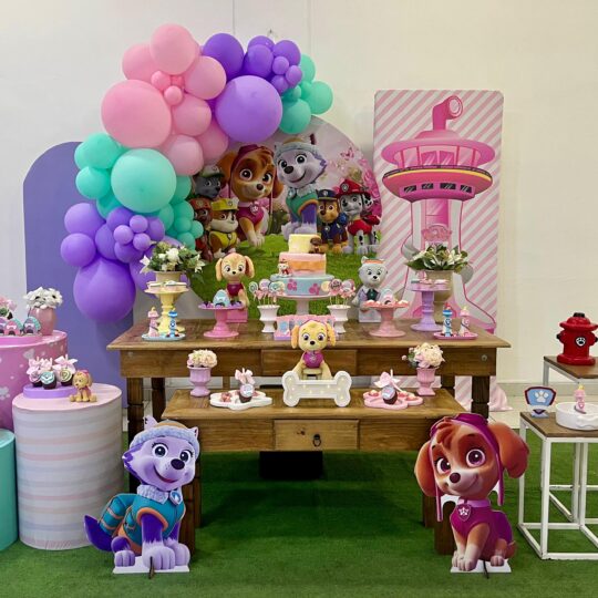 Patrulha Canina - Rosa